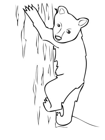 American Black Bear Cub Coloring Page